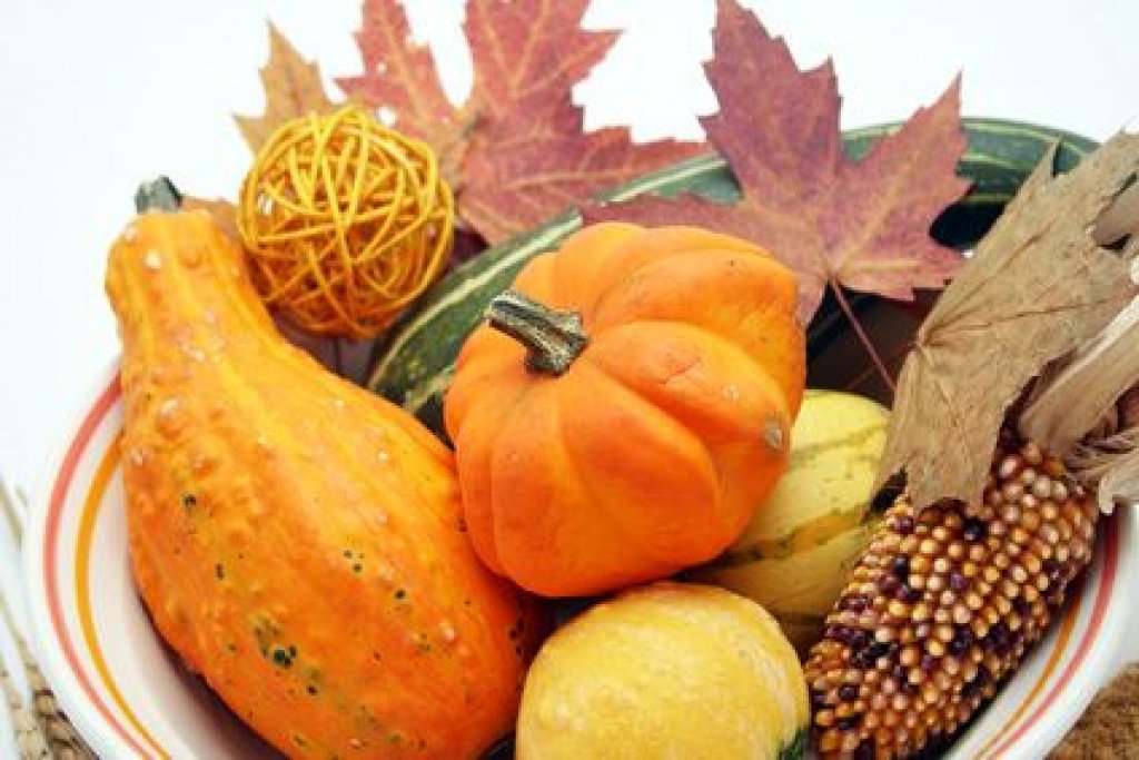 Bild von Herbst Rezepte